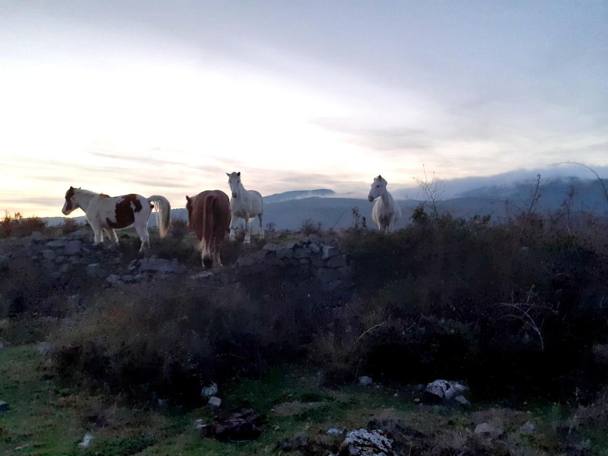 Casasdetrevijano Mirador De Mateo Villa Soto en Cameros Exteriör bild