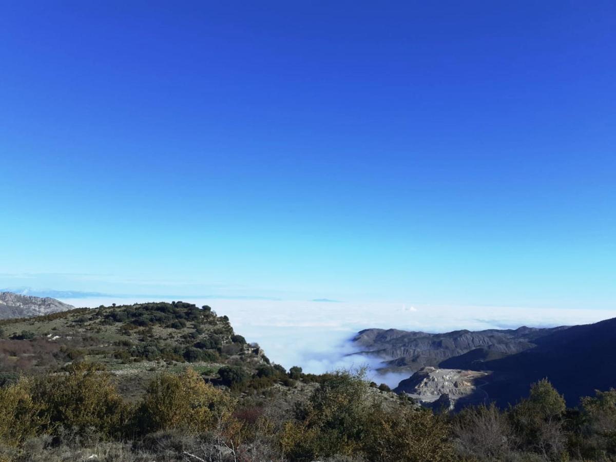 Casasdetrevijano Mirador De Mateo Villa Soto en Cameros Exteriör bild